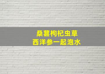 桑葚枸杞虫草西洋参一起泡水