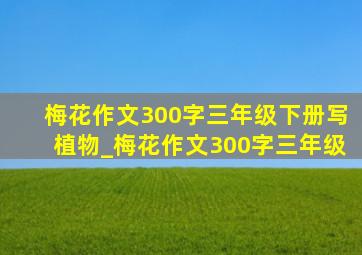 梅花作文300字三年级下册写植物_梅花作文300字三年级