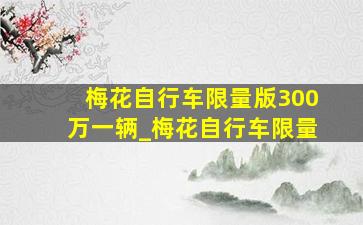 梅花自行车限量版300万一辆_梅花自行车限量