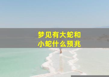 梦见有大蛇和小蛇什么预兆