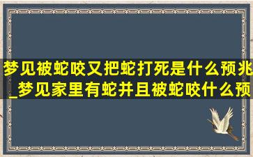 梦见被蛇咬又把蛇打死是什么预兆_梦见家里有蛇并且被蛇咬什么预兆