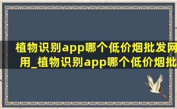 植物识别app哪个(低价烟批发网)用_植物识别app哪个(低价烟批发网)