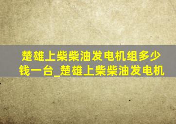 楚雄上柴柴油发电机组多少钱一台_楚雄上柴柴油发电机