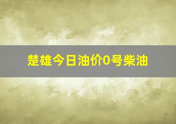 楚雄今日油价0号柴油