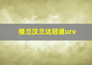 楼兰汉兰达冠道urv