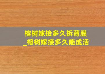 榕树嫁接多久拆薄膜_榕树嫁接多久能成活