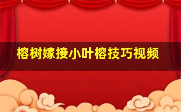 榕树嫁接小叶榕技巧视频