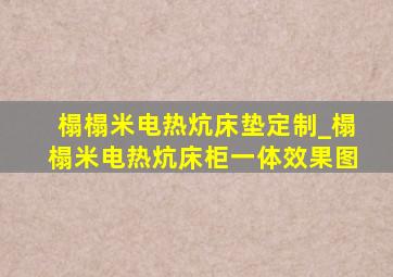 榻榻米电热炕床垫定制_榻榻米电热炕床柜一体效果图