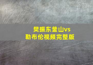 樊振东釜山vs勒布伦视频完整版