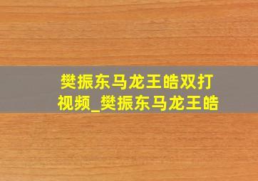 樊振东马龙王皓双打视频_樊振东马龙王皓