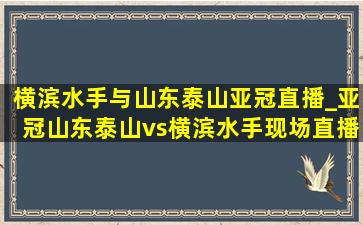 横滨水手与山东泰山亚冠直播_亚冠山东泰山vs横滨水手现场直播