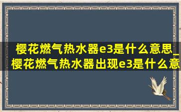 樱花燃气热水器e3是什么意思_樱花燃气热水器出现e3是什么意思