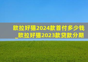 欧拉好猫2024款首付多少钱_欧拉好猫2023款贷款分期