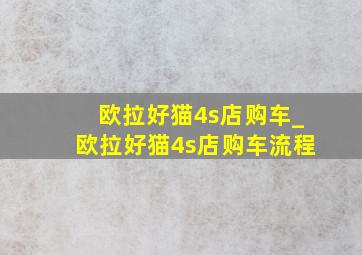 欧拉好猫4s店购车_欧拉好猫4s店购车流程