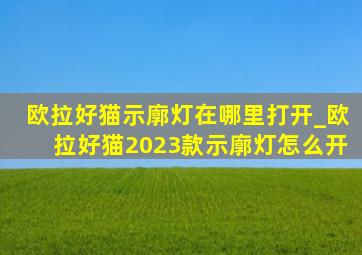 欧拉好猫示廓灯在哪里打开_欧拉好猫2023款示廓灯怎么开