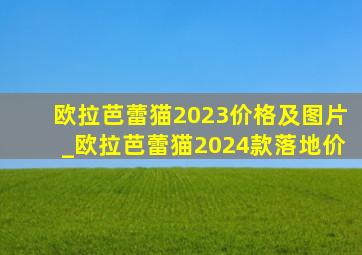 欧拉芭蕾猫2023价格及图片_欧拉芭蕾猫2024款落地价