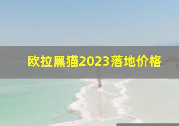 欧拉黑猫2023落地价格