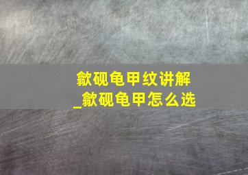 歙砚龟甲纹讲解_歙砚龟甲怎么选