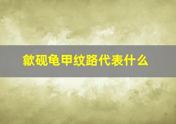 歙砚龟甲纹路代表什么