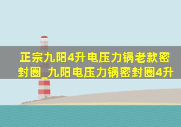 正宗九阳4升电压力锅老款密封圈_九阳电压力锅密封圈4升