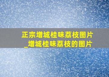 正宗增城桂味荔枝图片_增城桂味荔枝的图片