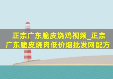 正宗广东脆皮烧鸡视频_正宗广东脆皮烧肉(低价烟批发网)配方