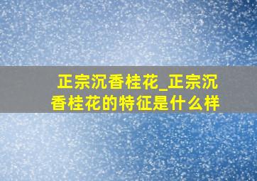 正宗沉香桂花_正宗沉香桂花的特征是什么样