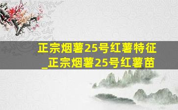 正宗烟薯25号红薯特征_正宗烟薯25号红薯苗