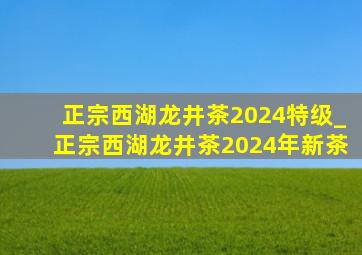 正宗西湖龙井茶2024特级_正宗西湖龙井茶2024年新茶