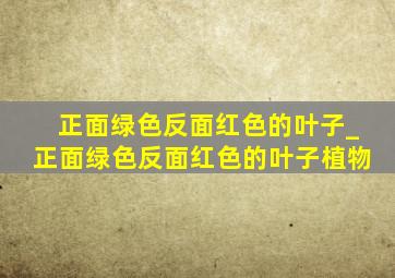 正面绿色反面红色的叶子_正面绿色反面红色的叶子植物