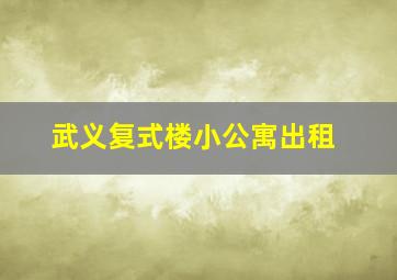 武义复式楼小公寓出租