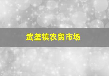 武垄镇农贸市场