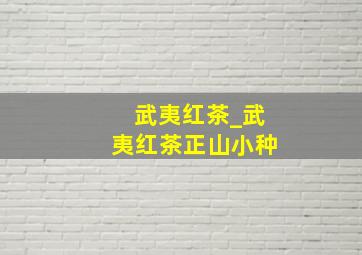 武夷红茶_武夷红茶正山小种