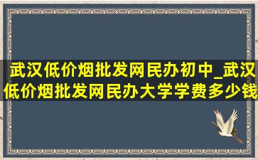 武汉(低价烟批发网)民办初中_武汉(低价烟批发网)民办大学学费多少钱