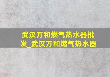 武汉万和燃气热水器批发_武汉万和燃气热水器