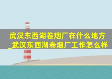 武汉东西湖卷烟厂在什么地方_武汉东西湖卷烟厂工作怎么样