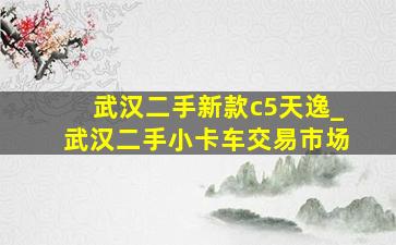 武汉二手新款c5天逸_武汉二手小卡车交易市场