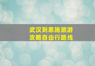 武汉到恩施旅游攻略自由行路线