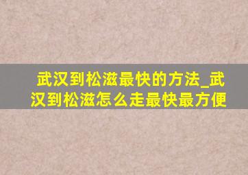 武汉到松滋最快的方法_武汉到松滋怎么走最快最方便