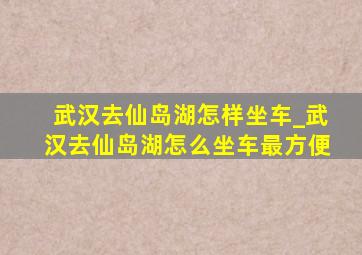 武汉去仙岛湖怎样坐车_武汉去仙岛湖怎么坐车最方便