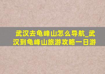 武汉去龟峰山怎么导航_武汉到龟峰山旅游攻略一日游