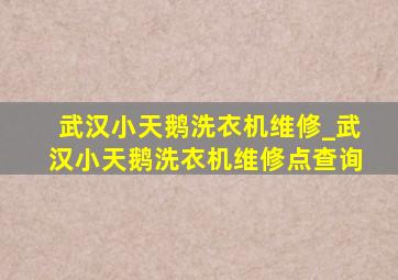 武汉小天鹅洗衣机维修_武汉小天鹅洗衣机维修点查询