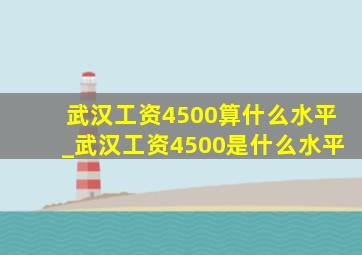 武汉工资4500算什么水平_武汉工资4500是什么水平