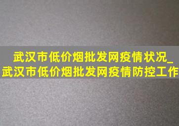 武汉市(低价烟批发网)疫情状况_武汉市(低价烟批发网)疫情防控工作