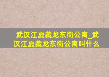 武汉江夏藏龙东街公寓_武汉江夏藏龙东街公寓叫什么