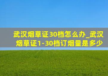 武汉烟草证30档怎么办_武汉烟草证1-30档订烟量是多少