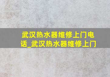 武汉热水器维修上门电话_武汉热水器维修上门