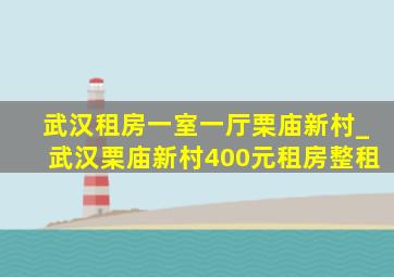 武汉租房一室一厅栗庙新村_武汉栗庙新村400元租房整租