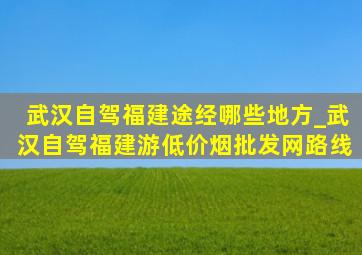 武汉自驾福建途经哪些地方_武汉自驾福建游(低价烟批发网)路线