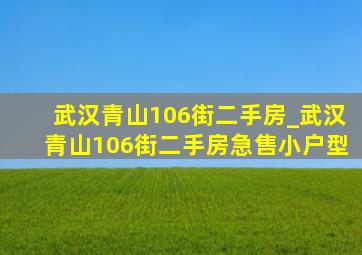 武汉青山106街二手房_武汉青山106街二手房急售小户型